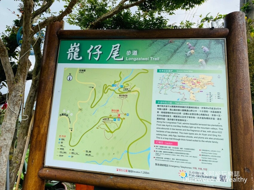 嘉義梅山景點一日遊攻略，暢遊山城、梅山公園賞梅趣，太平雲梯壯麗景色不容錯過