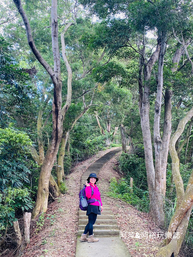 藤山步道!彰化員林熱門健行路線,油桐花季美景、在地美食全導覽