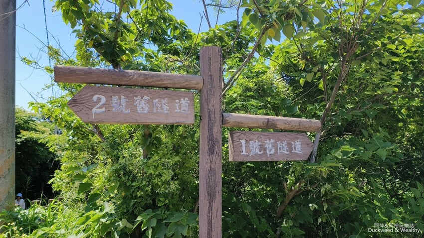 探索後龍過港隧道秘境,百年歷史隧道光影之旅