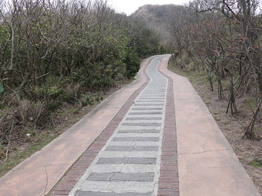 探索後龍過港隧道秘境,百年歷史隧道光影之旅