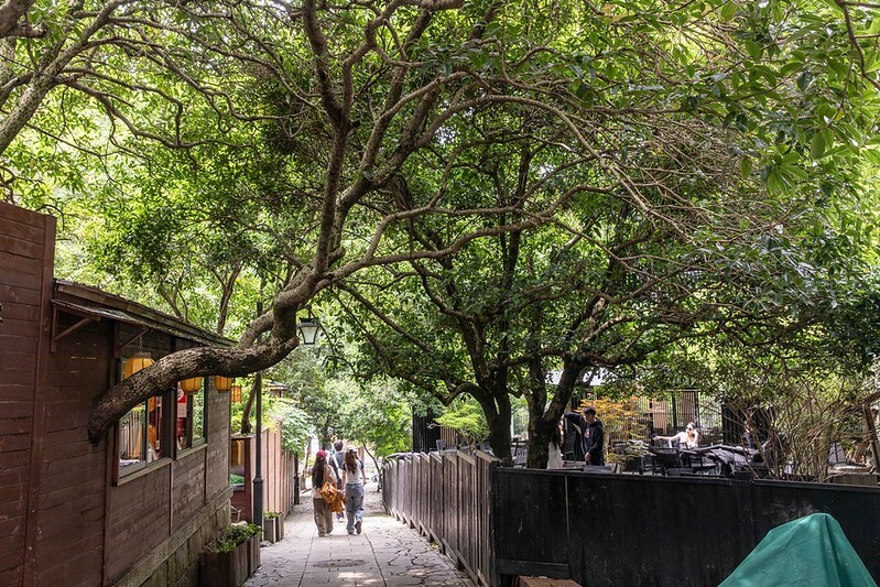 中國杭州米其林推薦!西湖美食 桂語家麵 新派麵點的獨特魅力