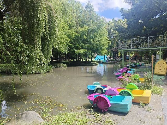 彰化親子景點首選！ 暑假必衝沐卉親子農場，沁涼水滑梯、彩虹瀑布全家都玩翻