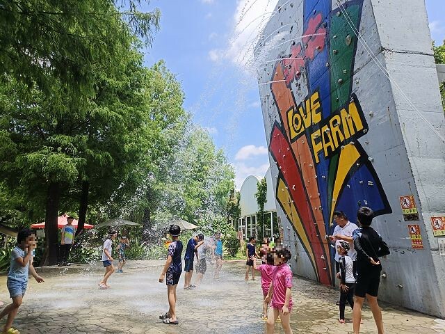 彰化親子景點首選！ 暑假必衝沐卉親子農場，沁涼水滑梯、彩虹瀑布全家都玩翻