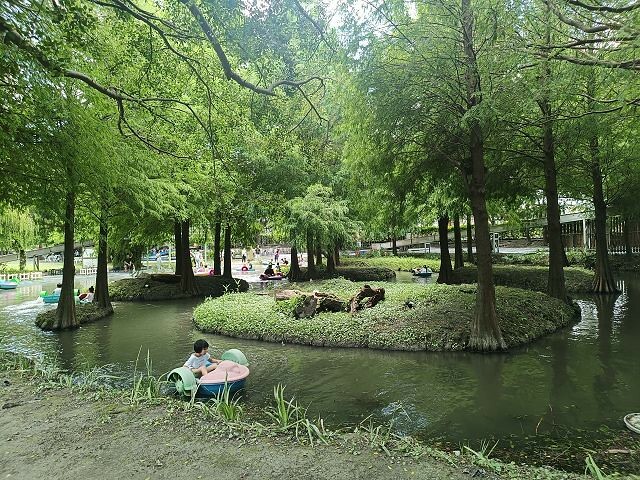 彰化親子景點首選！ 暑假必衝沐卉親子農場，沁涼水滑梯、彩虹瀑布全家都玩翻