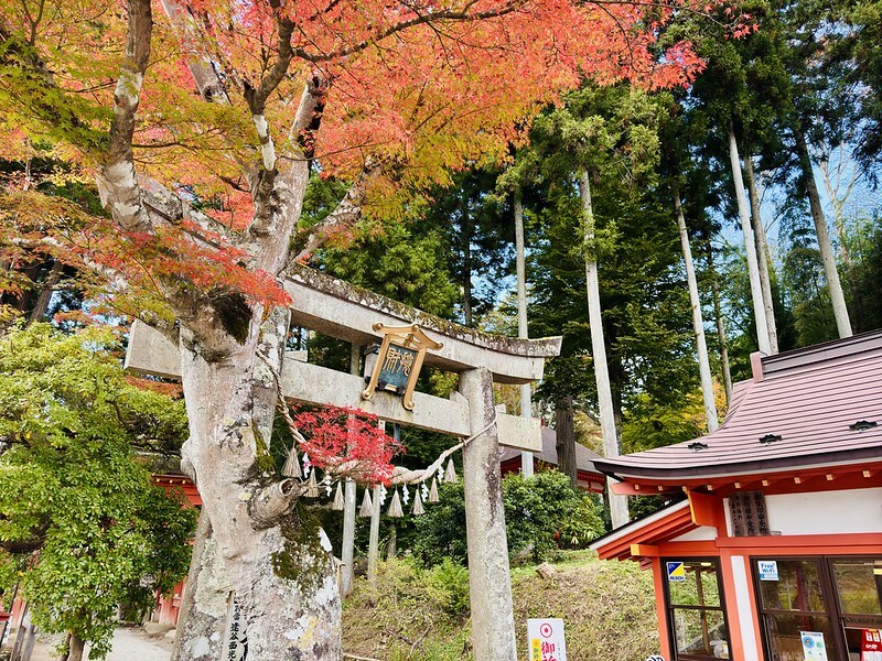 日本岩手縣千年古剎佛像！平泉世界遺產旁秘境，日本最北16.5公尺高磨崖佛。