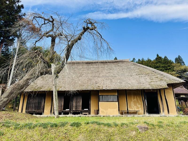 日本岩手縣千年古剎佛像！平泉世界遺產旁秘境，日本最北16.5公尺高磨崖佛。