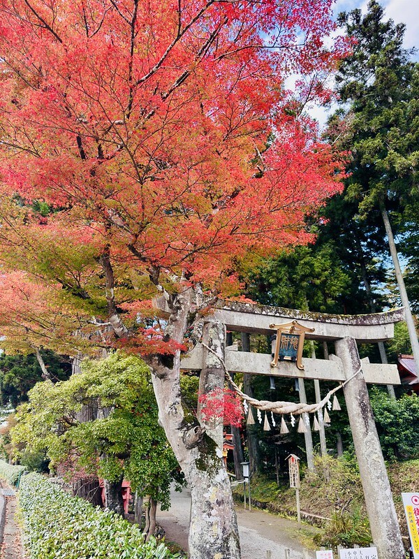 日本岩手縣千年古剎佛像！平泉世界遺產旁秘境，日本最北16.5公尺高磨崖佛。