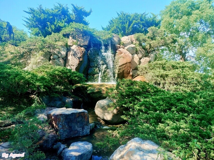 [超Chill半日遊推薦行程]中午來台南後壁雅聞湖濱療癒森林