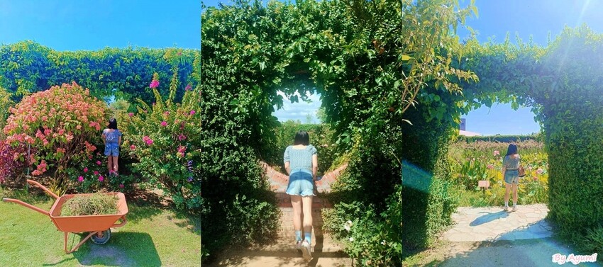 [超Chill半日遊推薦行程]中午來台南後壁雅聞湖濱療癒森林