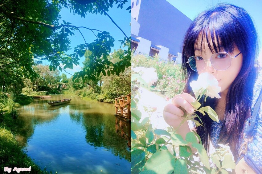 [超Chill半日遊推薦行程]中午來台南後壁雅聞湖濱療癒森林