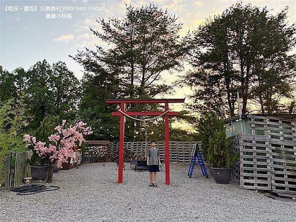 【南投豪華露營/親子露營】泊樂熊村 Polar Bear V