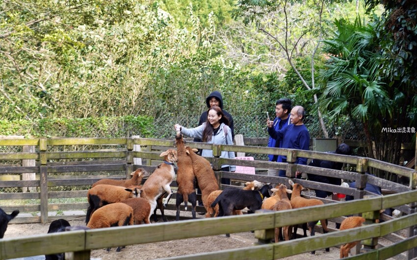 飛牛牧場親子越野障礙賽！苗栗大草原上的跑酷盛會，十二關卡等你來玩