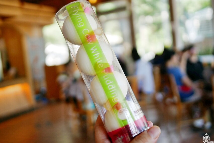 飛牛牧場親子越野障礙賽！苗栗大草原上的跑酷盛會，十二關卡等你來玩