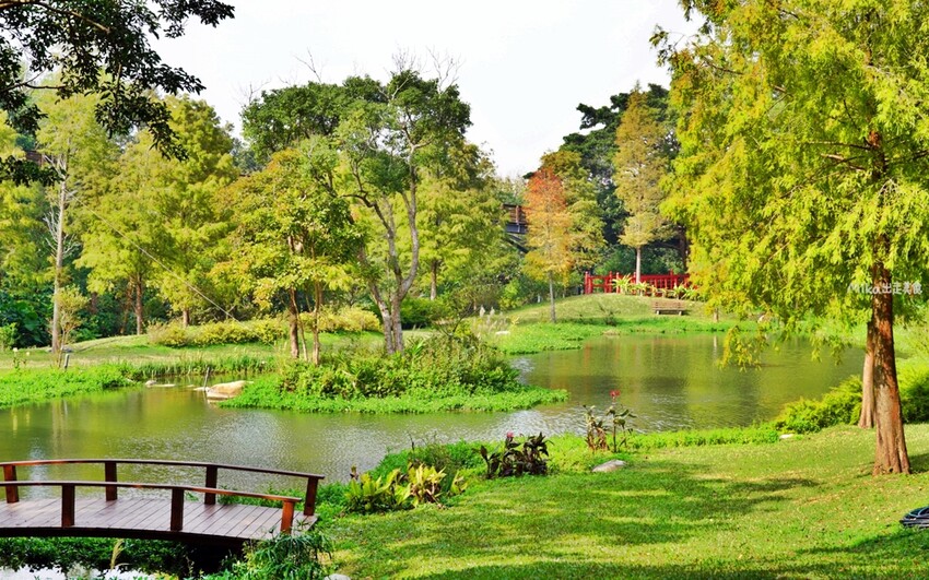 飛牛牧場親子越野障礙賽！苗栗大草原上的跑酷盛會，十二關卡等你來玩