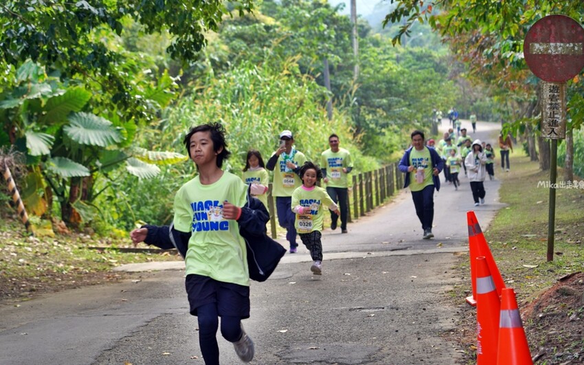 飛牛牧場親子越野障礙賽！苗栗大草原上的跑酷盛會，十二關卡等你來玩