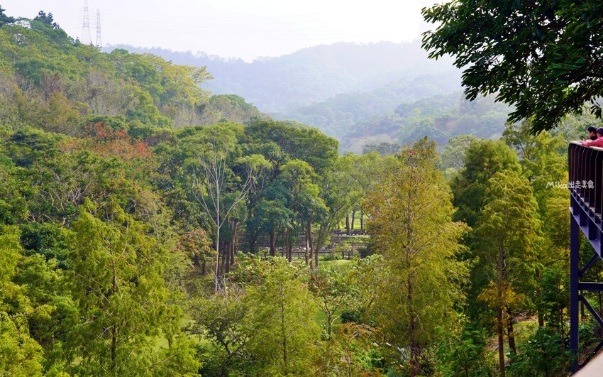 飛牛牧場親子越野障礙賽！苗栗大草原上的跑酷盛會，十二關卡等你來玩