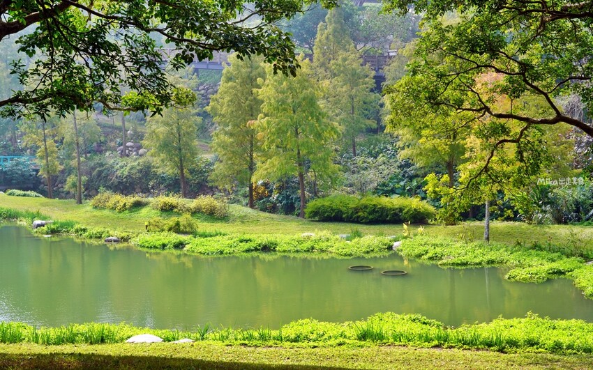 飛牛牧場親子越野障礙賽！苗栗大草原上的跑酷盛會，十二關卡等你來玩
