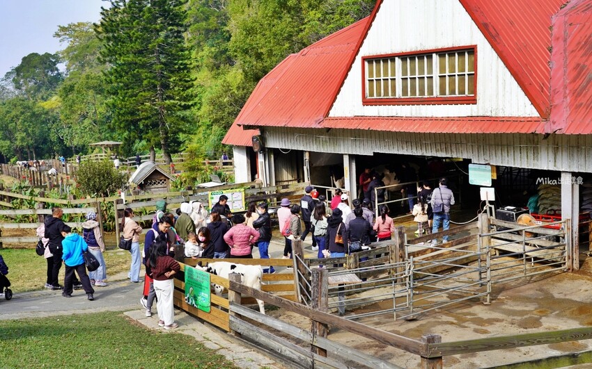 飛牛牧場親子越野障礙賽！苗栗大草原上的跑酷盛會，十二關卡等你來玩