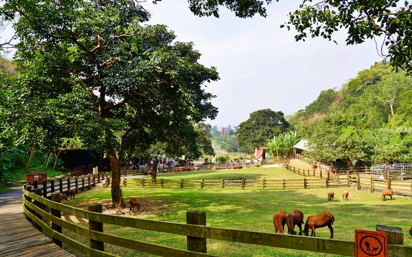 飛牛牧場親子越野障礙賽！苗栗大草原上的跑酷盛會，十二關卡等你來玩