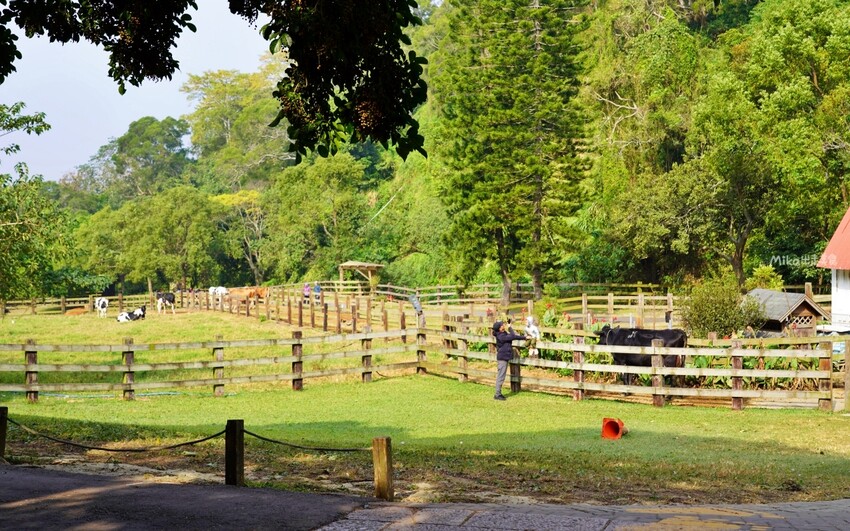 飛牛牧場親子越野障礙賽！苗栗大草原上的跑酷盛會，十二關卡等你來玩