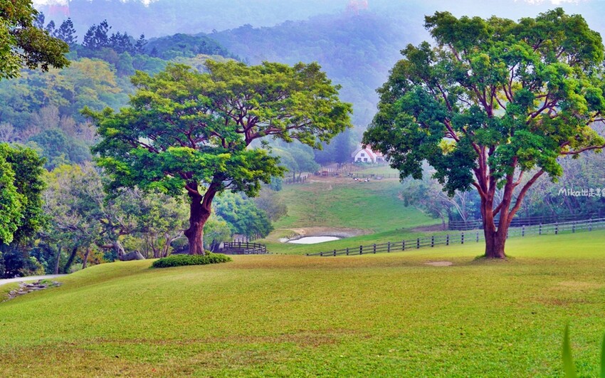 飛牛牧場親子越野障礙賽！苗栗大草原上的跑酷盛會，十二關卡等你來玩