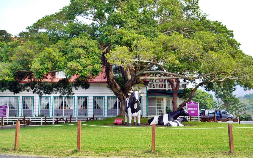 飛牛牧場親子越野障礙賽！苗栗大草原上的跑酷盛會，十二關卡等你來玩
