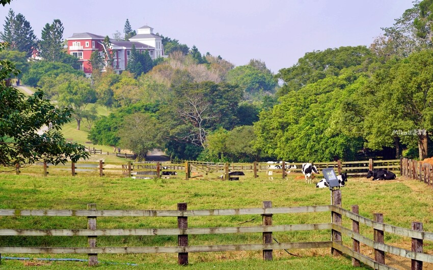 飛牛牧場親子越野障礙賽！苗栗大草原上的跑酷盛會，十二關卡等你來玩
