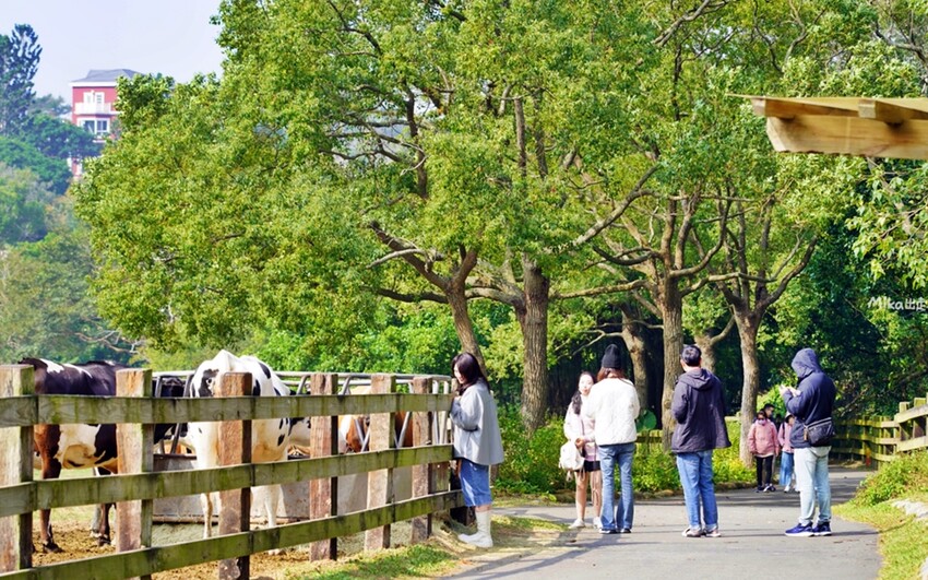 飛牛牧場親子越野障礙賽！苗栗大草原上的跑酷盛會，十二關卡等你來玩