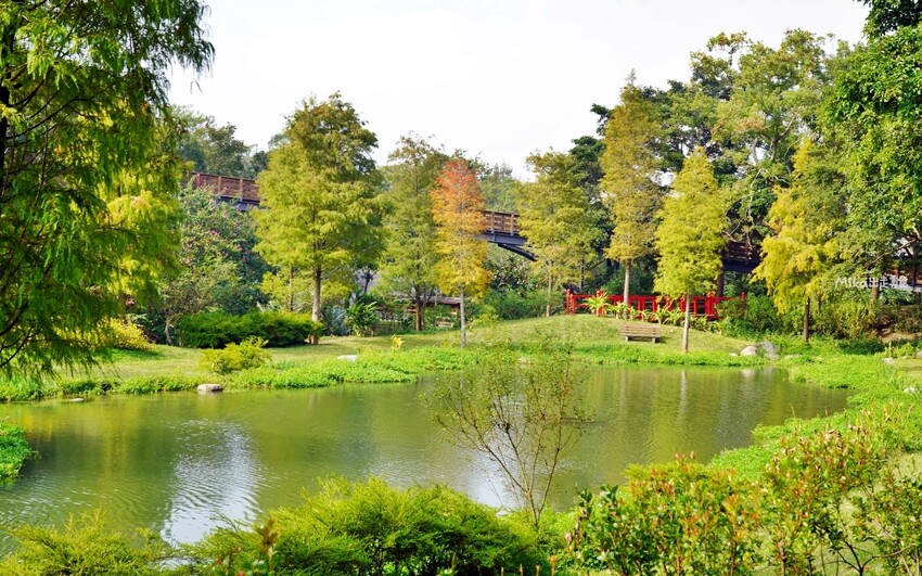 飛牛牧場親子越野障礙賽！苗栗大草原上的跑酷盛會，十二關卡等你來玩