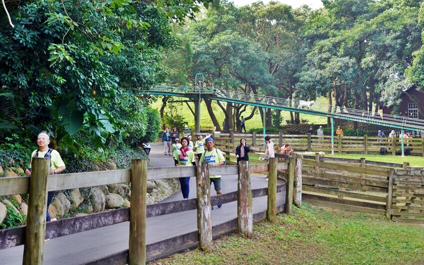 飛牛牧場親子越野障礙賽！苗栗大草原上的跑酷盛會，十二關卡等你來玩