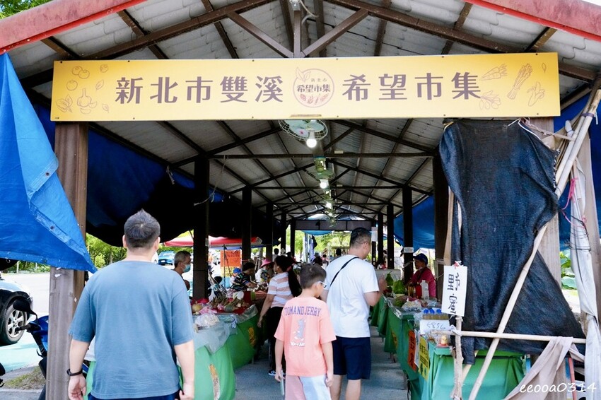 雙溪荷花季開跑|新北免費賞荷花景點推薦,免門票賞花拍照好去處 雙溪荷花季開跑|新北免費賞荷花景點推薦,免門票賞花拍照好去處