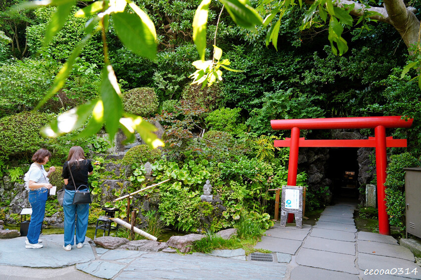 鎌倉一日遊推薦|親子散步景點「長谷寺」不只有紫陽花,四季皆美 鎌倉一日遊推薦|親子散步景點「長谷寺」不只有紫陽花,四季皆美