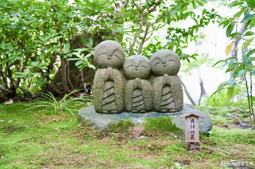 鎌倉一日遊推薦|親子散步景點「長谷寺」不只有紫陽花,四季皆美 鎌倉一日遊推薦|親子散步景點「長谷寺」不只有紫陽花,四季皆美