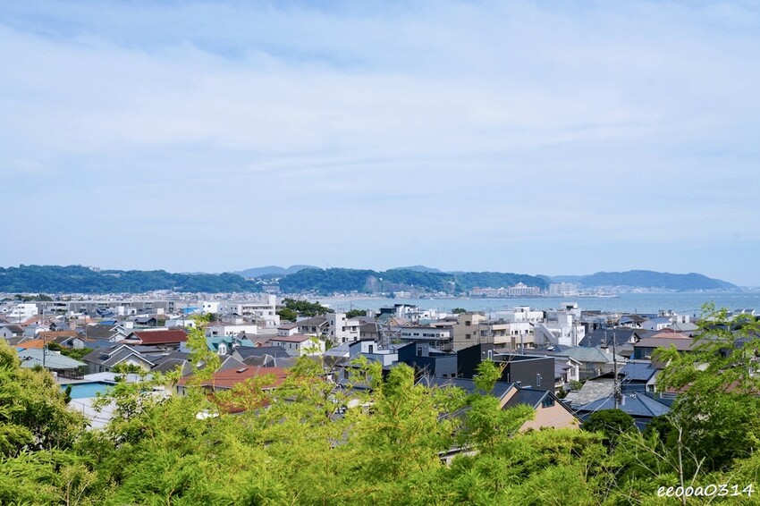 鎌倉一日遊推薦|親子散步景點「長谷寺」不只有紫陽花,四季皆美 鎌倉一日遊推薦|親子散步景點「長谷寺」不只有紫陽花,四季皆美