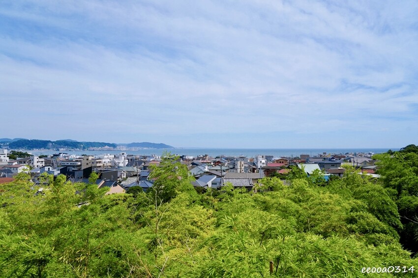 鎌倉一日遊推薦|親子散步景點「長谷寺」不只有紫陽花,四季皆美 鎌倉一日遊推薦|親子散步景點「長谷寺」不只有紫陽花,四季皆美