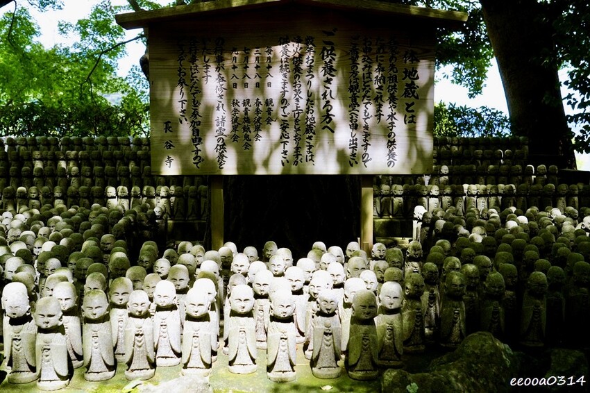 鎌倉一日遊推薦|親子散步景點「長谷寺」不只有紫陽花,四季皆美 鎌倉一日遊推薦|親子散步景點「長谷寺」不只有紫陽花,四季皆美