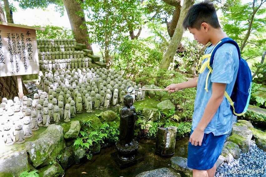 鎌倉一日遊推薦|親子散步景點「長谷寺」不只有紫陽花,四季皆美 鎌倉一日遊推薦|親子散步景點「長谷寺」不只有紫陽花,四季皆美