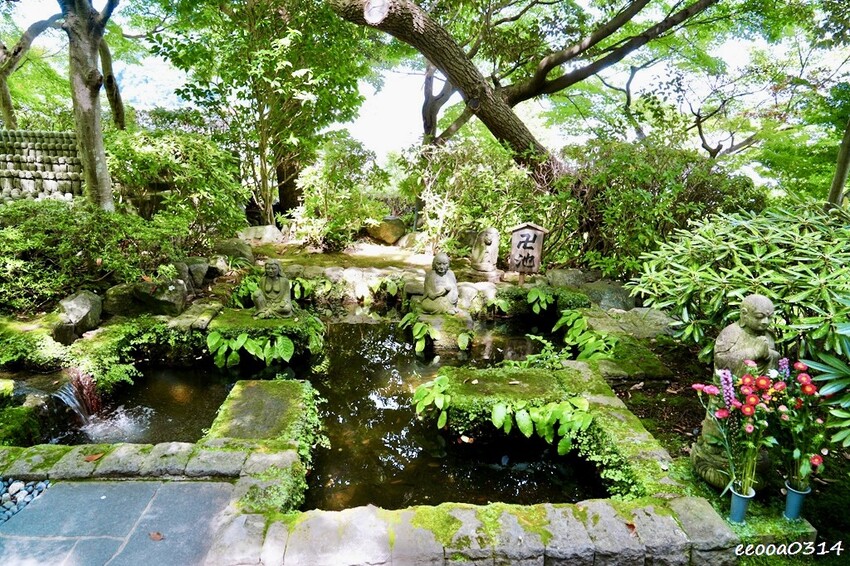 鎌倉一日遊推薦|親子散步景點「長谷寺」不只有紫陽花,四季皆美 鎌倉一日遊推薦|親子散步景點「長谷寺」不只有紫陽花,四季皆美