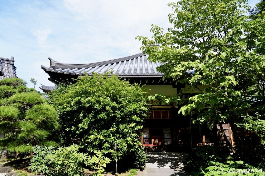 鎌倉一日遊推薦|親子散步景點「長谷寺」不只有紫陽花,四季皆美 鎌倉一日遊推薦|親子散步景點「長谷寺」不只有紫陽花,四季皆美