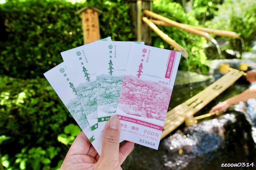 鎌倉一日遊推薦|親子散步景點「長谷寺」不只有紫陽花,四季皆美 鎌倉一日遊推薦|親子散步景點「長谷寺」不只有紫陽花,四季皆美