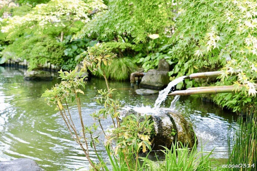 鎌倉一日遊推薦|親子散步景點「長谷寺」不只有紫陽花,四季皆美 鎌倉一日遊推薦|親子散步景點「長谷寺」不只有紫陽花,四季皆美