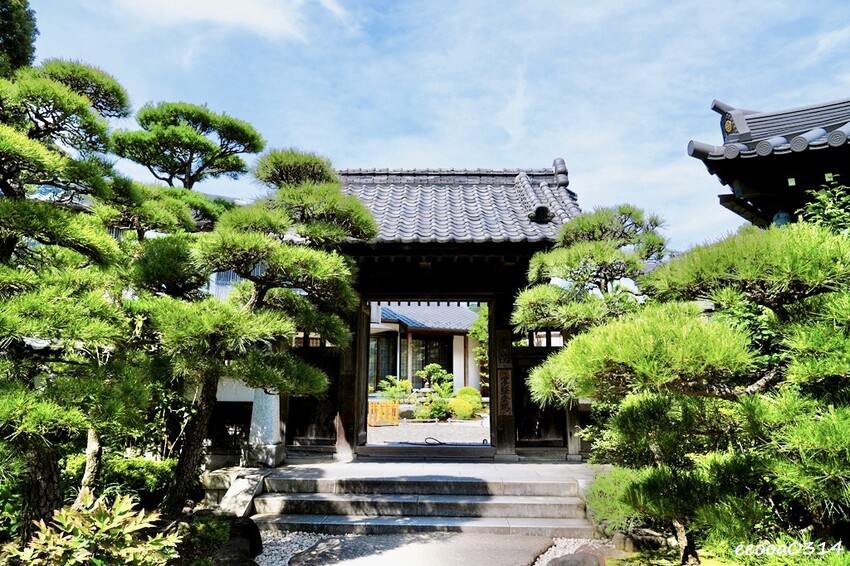 鎌倉一日遊推薦|親子散步景點「長谷寺」不只有紫陽花,四季皆美 鎌倉一日遊推薦|親子散步景點「長谷寺」不只有紫陽花,四季皆美