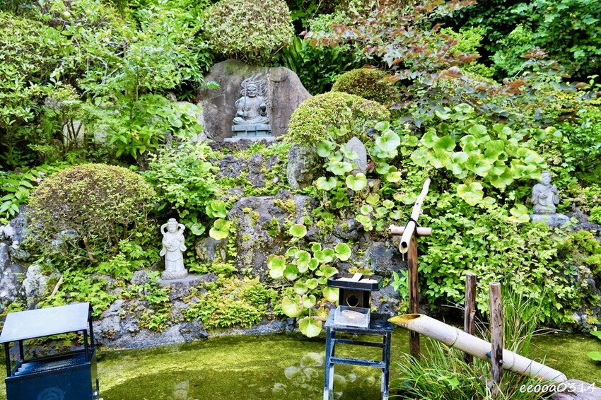 鎌倉一日遊推薦|親子散步景點「長谷寺」不只有紫陽花,四季皆美 鎌倉一日遊推薦|親子散步景點「長谷寺」不只有紫陽花,四季皆美
