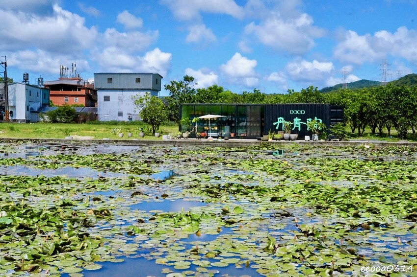 雙溪荷花季開跑|新北免費賞荷花景點推薦,免門票賞花拍照好去處 雙溪荷花季開跑|新北免費賞荷花景點推薦,免門票賞花拍照好去處
