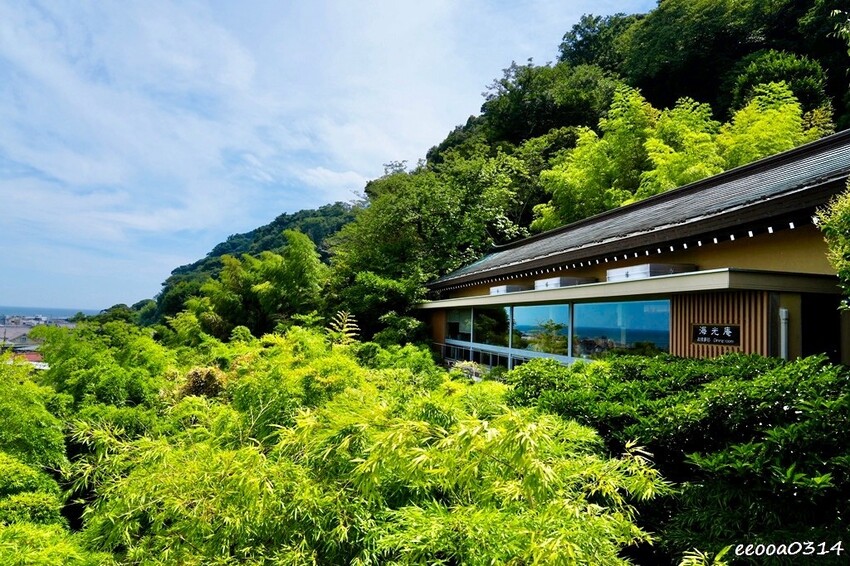 鎌倉一日遊推薦|親子散步景點「長谷寺」不只有紫陽花,四季皆美 鎌倉一日遊推薦|親子散步景點「長谷寺」不只有紫陽花,四季皆美