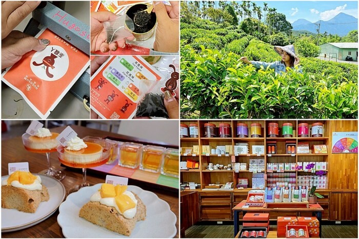 南投埔里新打卡點！鰲頭山步道全新啟用，924階健行賞埔里美景。