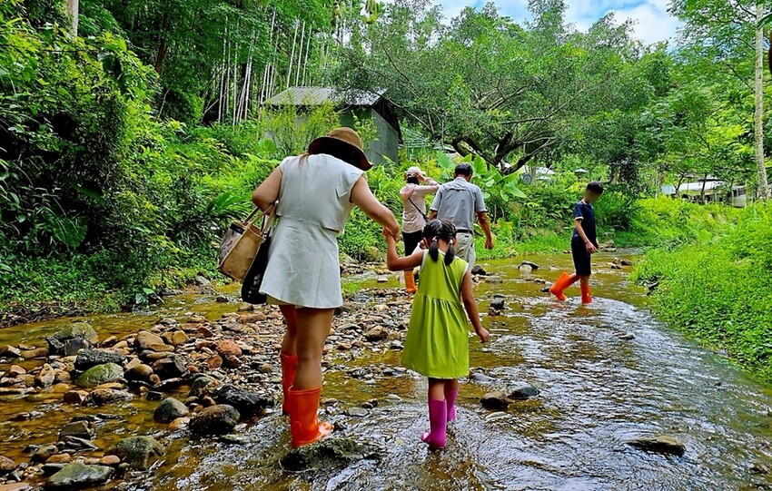 埔里兩天一夜綠色旅遊全攻略|一次走訪10家特色景點,新打卡步道、手作、生態、茶香、在地美食通通有!!