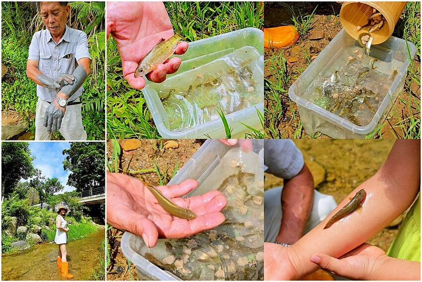 埔里兩天一夜綠色旅遊全攻略|一次走訪10家特色景點,新打卡步道、手作、生態、茶香、在地美食通通有!!