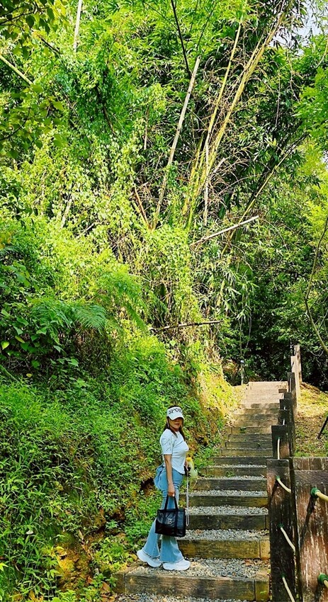 埔里兩天一夜綠色旅遊全攻略|一次走訪10家特色景點,新打卡步道、手作、生態、茶香、在地美食通通有!!