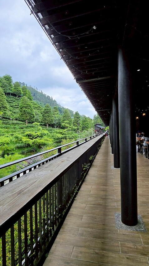 日月潭必訪Hohocha喝喝茶，奉茶奉蛋、買伴手禮的好所在！！